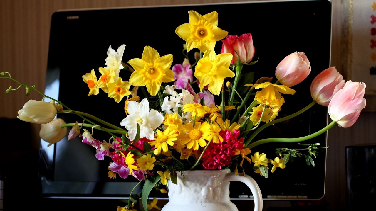 Обои тюльпаны, нарциссы, гиацинт, цветы, букет, кувшин, монитор