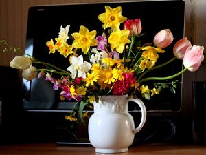 Превью обои тюльпаны, нарциссы, гиацинт, цветы, букет, кувшин, монитор