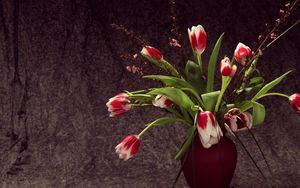 Превью обои тюльпаны, пестрые, цветы, ваза, букет, композиция
