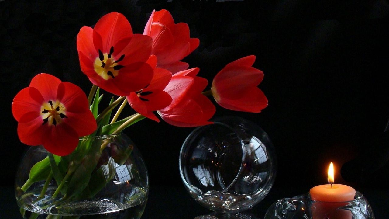 Обои тюльпаны, распущенные, цветы, ваза, свеча, огонь