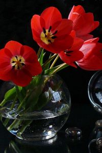 Превью обои тюльпаны, распущенные, цветы, ваза, свеча, огонь