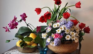 Превью обои тюльпаны, ромашки, орхидея, гиацинты, лимоны, листья, натюрморт