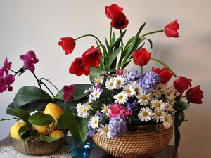Превью обои тюльпаны, ромашки, орхидея, гиацинты, лимоны, листья, натюрморт