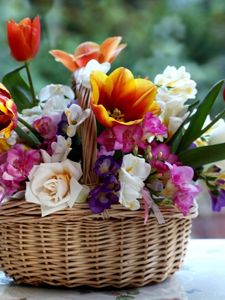 Превью обои тюльпаны, розы, фрезия, цветы, композиция, сочетание, корзина
