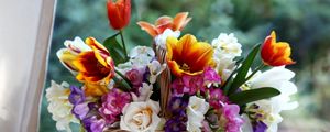 Превью обои тюльпаны, розы, фрезия, цветы, композиция, сочетание, корзина