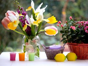 Превью обои тюльпаны, розы, ирисы, цветы, букеты, ваза, корзина, свечи