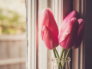 Превью обои тюльпаны, цветы, банка, окно