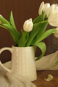 Превью обои тюльпаны, цветы, белоснежные, букет, кувшин, шарф, зелень