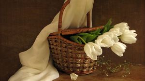 Превью обои тюльпаны, цветы, белые, букет, корзинка, весна, шарф
