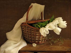Превью обои тюльпаны, цветы, белые, букет, корзинка, весна, шарф