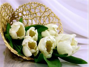 Превью обои тюльпаны, цветы, белые, букет, плетение, кулек