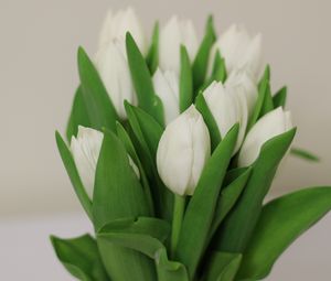 Превью обои тюльпаны, цветы, букет, белый