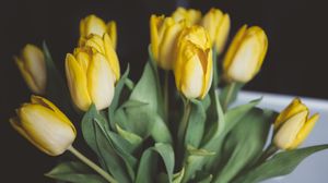 Превью обои тюльпаны, цветы, букет, желтый