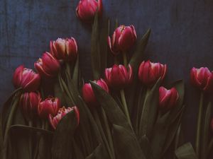 Превью обои тюльпаны, цветы, букет