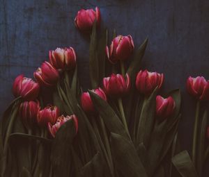 Превью обои тюльпаны, цветы, букет