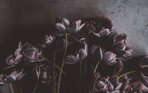 Превью обои тюльпаны, цветы, букет, стена