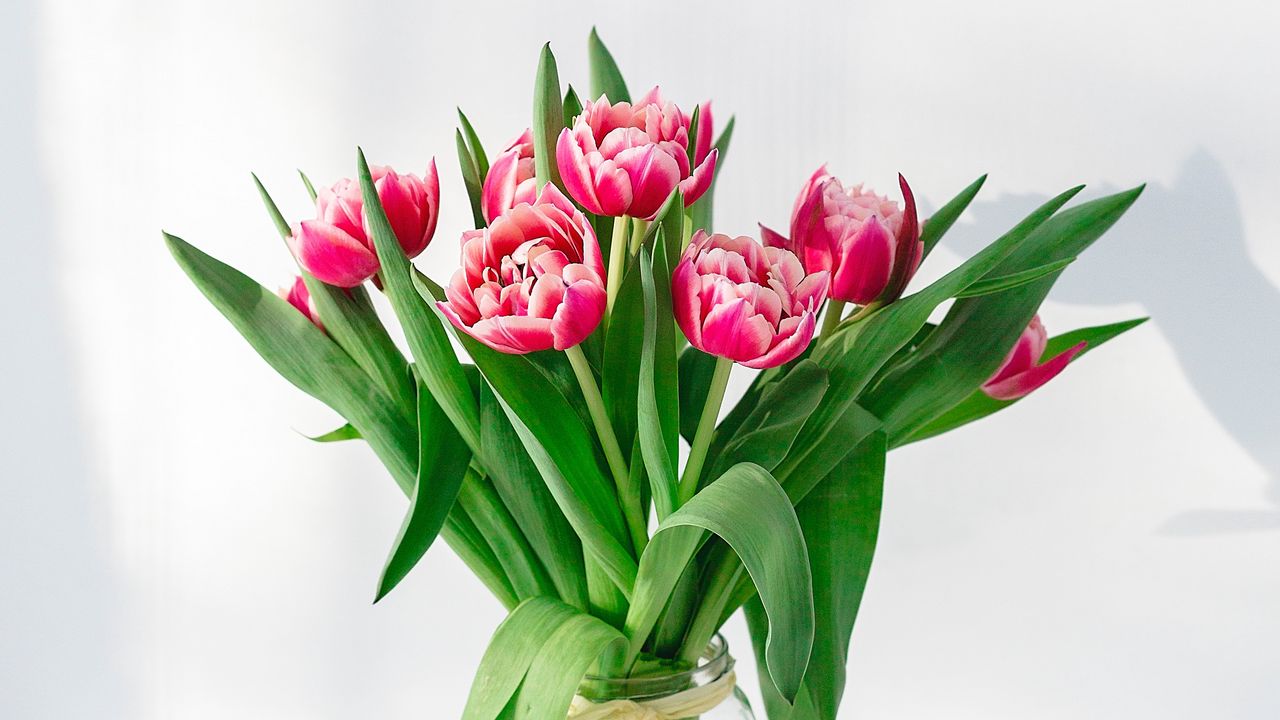 Обои тюльпаны, цветы, букет, розовый, ваза
