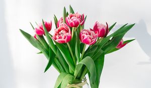 Превью обои тюльпаны, цветы, букет, розовый, ваза