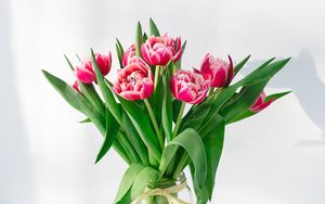 Превью обои тюльпаны, цветы, букет, розовый, ваза
