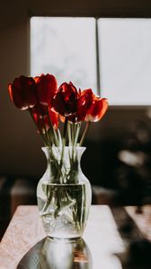 Превью обои тюльпаны, цветы, букет, красный