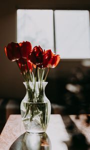 Превью обои тюльпаны, цветы, букет, красный
