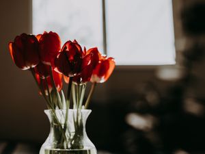 Превью обои тюльпаны, цветы, букет, красный