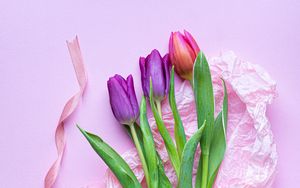 Превью обои тюльпаны, цветы, букет, фиолетовый, розовый