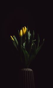 Превью обои тюльпаны, цветы, букет, ваза, темный