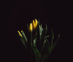 Превью обои тюльпаны, цветы, букет, ваза, темный
