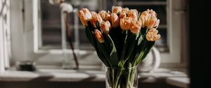 Превью обои тюльпаны, цветы, букет, светлый, эстетика