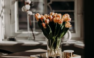Превью обои тюльпаны, цветы, букет, светлый, эстетика