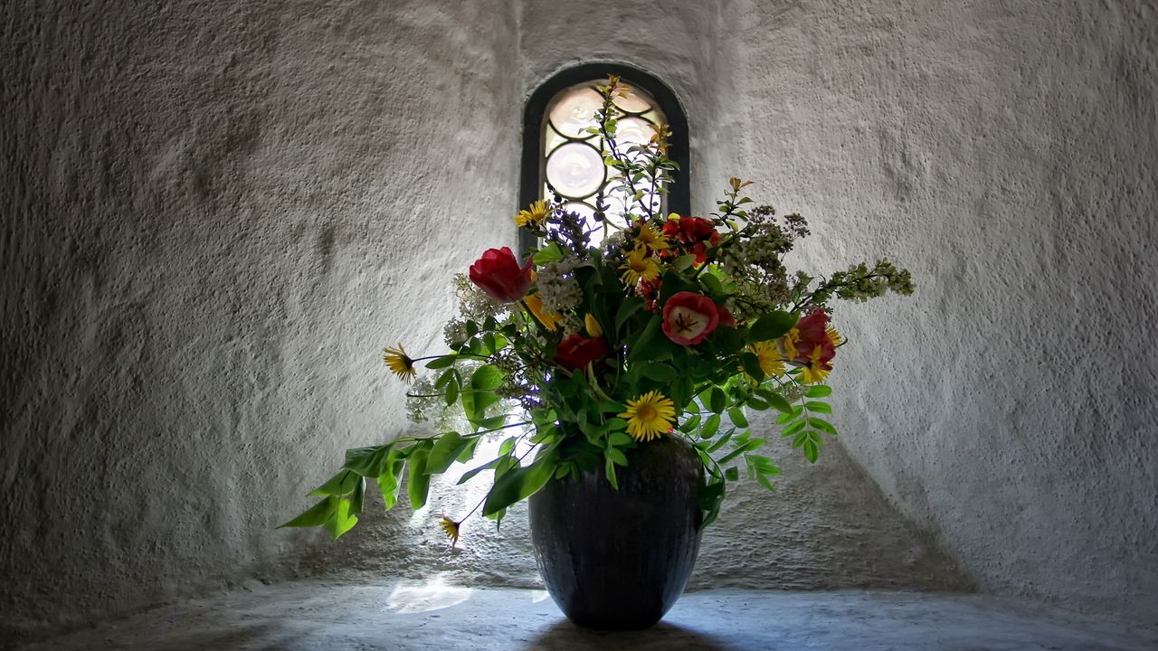 Обои тюльпаны, цветы, букет, ваза, окно, стены