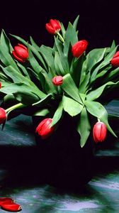 Превью обои тюльпаны, цветы, букет, тень, лепестки, ваза