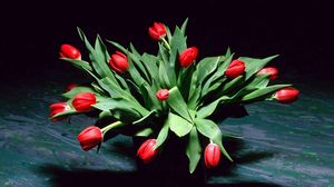 Превью обои тюльпаны, цветы, букет, тень, лепестки, ваза
