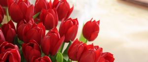 Превью обои тюльпаны, цветы, букет, красные, красиво