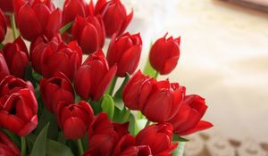 Превью обои тюльпаны, цветы, букет, красные, красиво