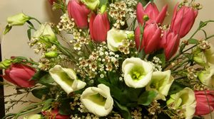 Превью обои тюльпаны, цветы, букет, композиция