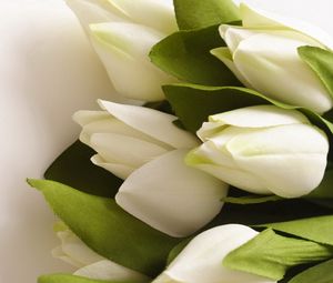 Превью обои тюльпаны, цветы, букет, белые, искусственные