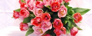 Превью обои тюльпаны, цветы, букет, распущенные, красиво, нежность