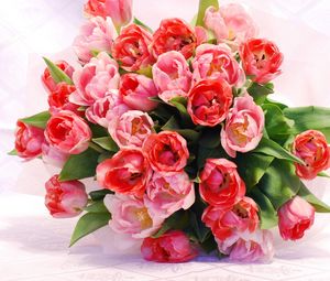 Превью обои тюльпаны, цветы, букет, распущенные, красиво, нежность