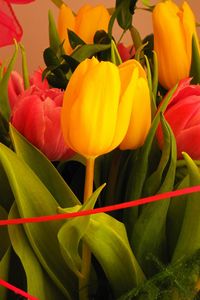 Превью обои тюльпаны, цветы, букет, оформление, крупный план