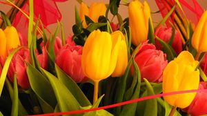 Превью обои тюльпаны, цветы, букет, оформление, крупный план