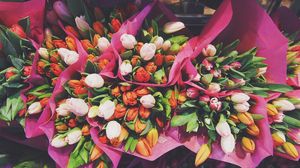 Превью обои тюльпаны, цветы, букеты