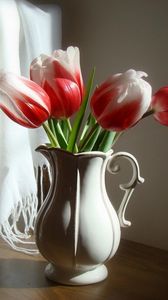 Превью обои тюльпаны, цветы, двухцветные, кувшин, стул, палантин