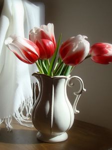Превью обои тюльпаны, цветы, двухцветные, кувшин, стул, палантин