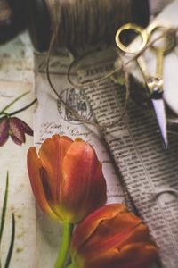 Превью обои тюльпаны, цветы, газеты, ножницы, эстетика