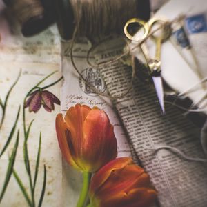 Превью обои тюльпаны, цветы, газеты, ножницы, эстетика