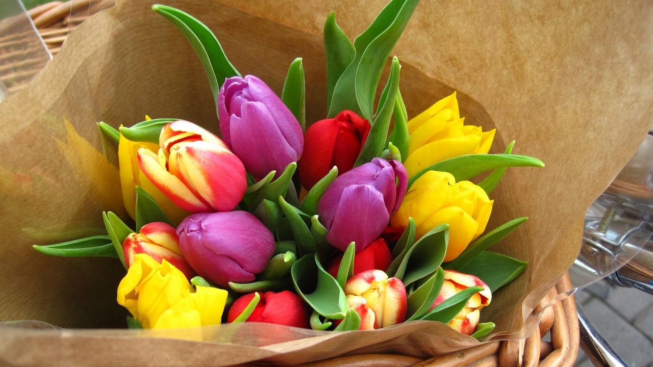 Обои тюльпаны, цветы, яркие, букет, бумага