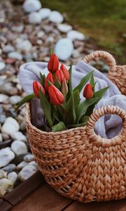 Превью обои тюльпаны, цветы, красный, букет, корзина