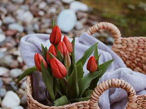 Превью обои тюльпаны, цветы, красный, букет, корзина